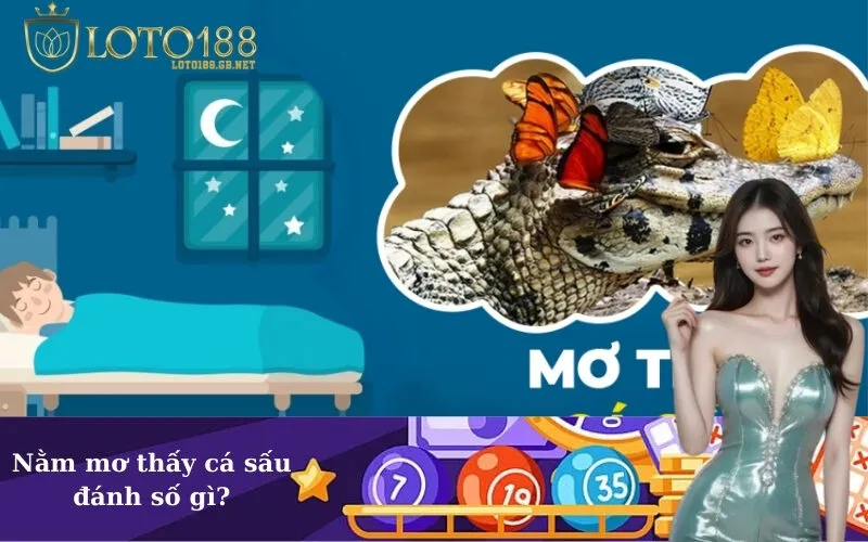 Nằm mơ thấy cá sấu đánh số gì?