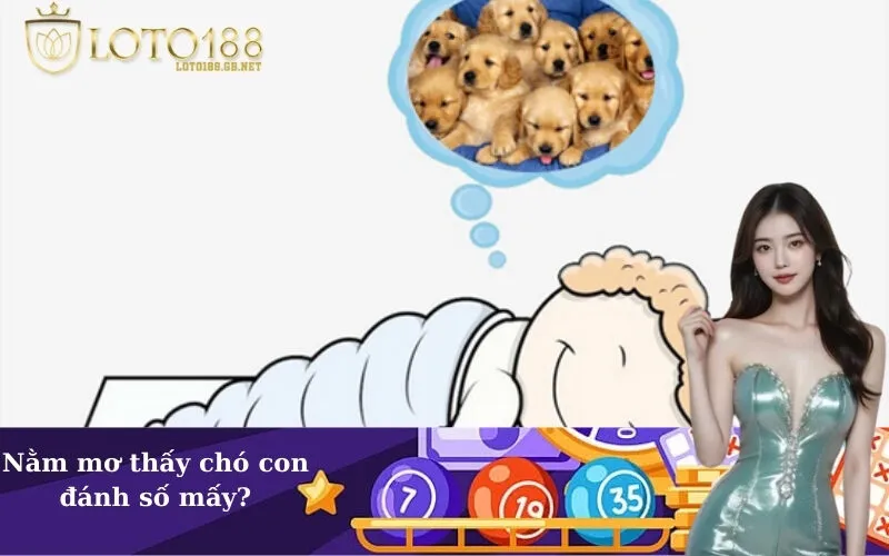 Nằm mơ thấy chó con đánh số mấy?