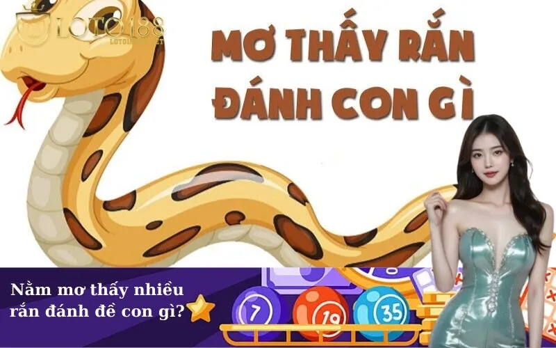 Nằm mơ thấy nhiều rắn đánh đề con gì?